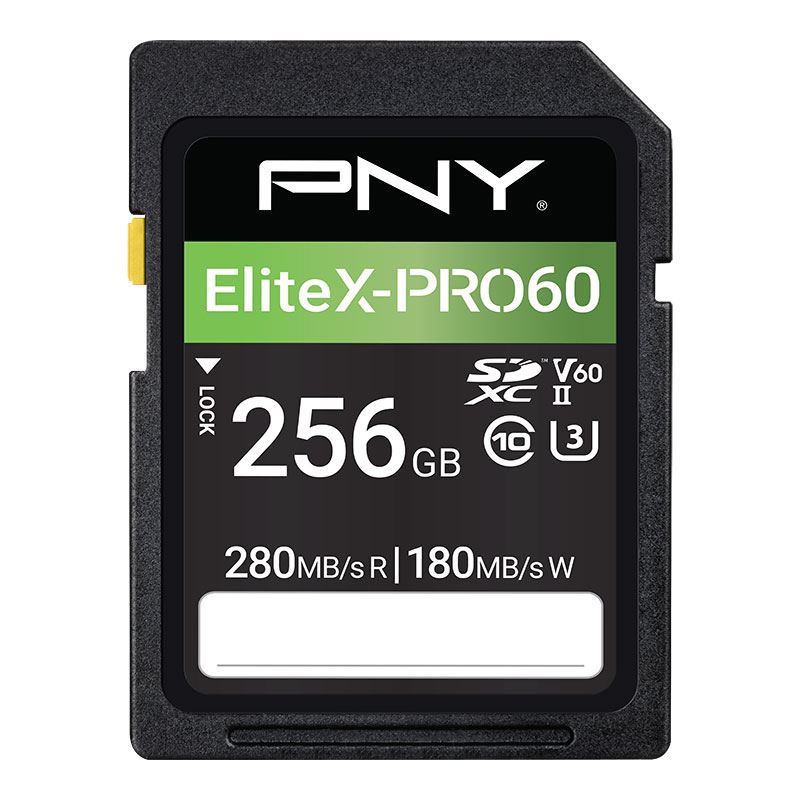 Cartes SDXC PNY 256 Go UHS-II — enregistrement fiable 4K